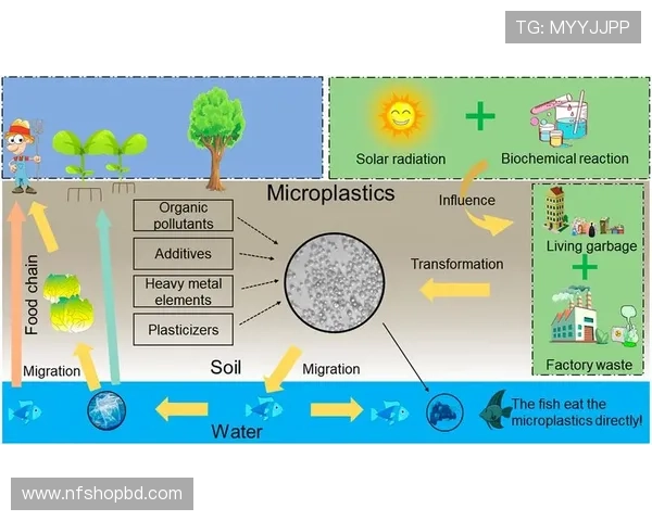 TVT体育登录线路常见问题及快速解决方法指南 TVT体育登录线路常见问题及快速解决方法指南
