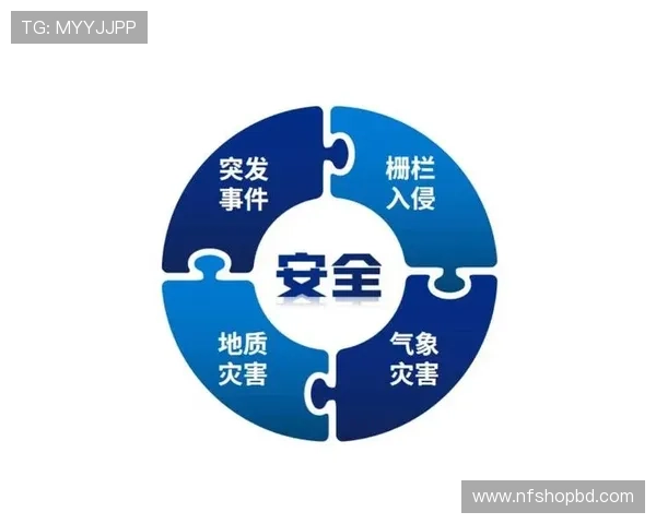 欧博abg备用平台的技术升级与安全措施，确保平台稳定运行与用户信息安全
